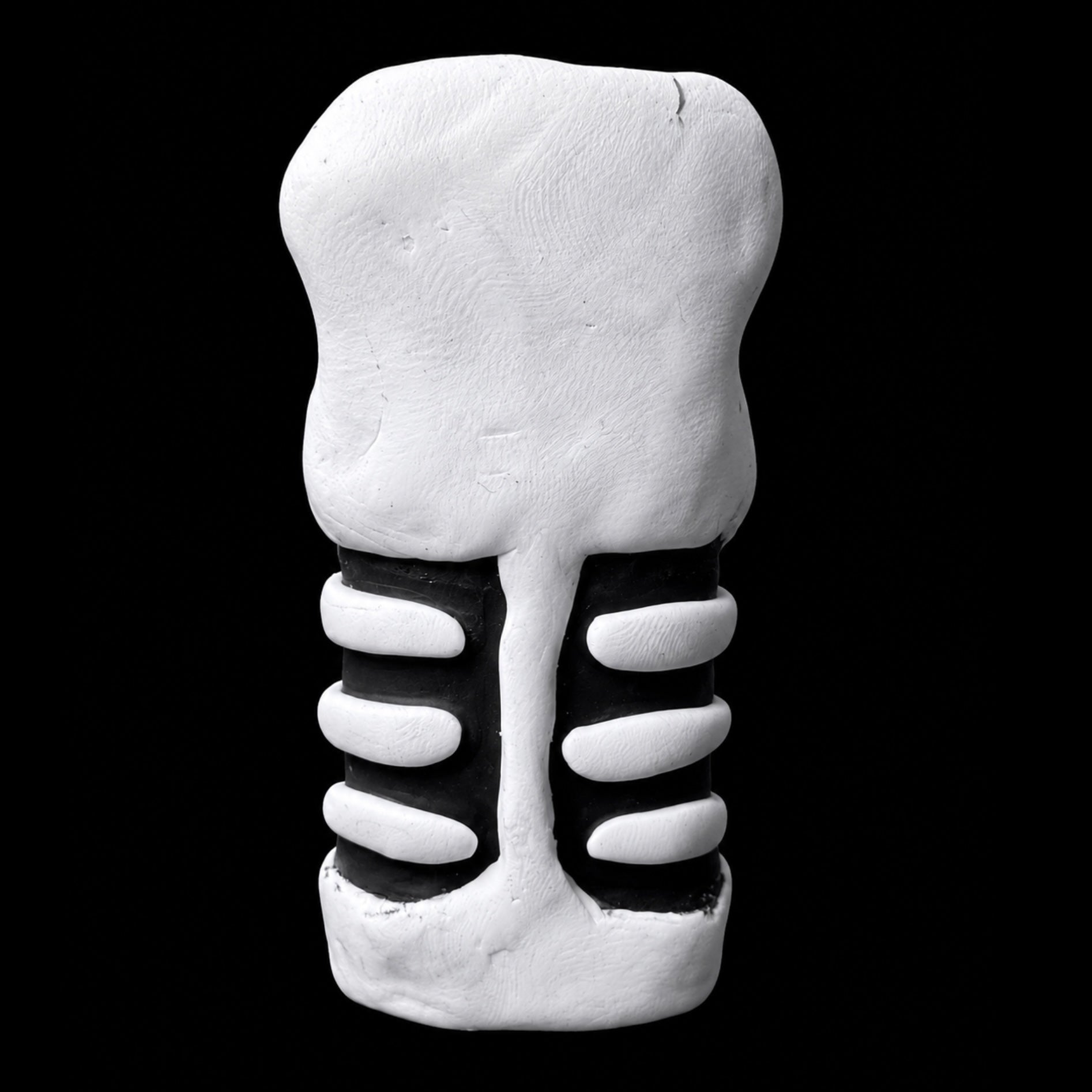 Boner Lighter Case