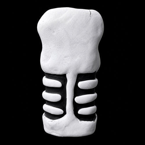 Boner Lighter Case